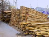 Current Price of Wood and Timber for Construction in Nigeria: Types, Uses and Buying Guide